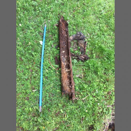Drain With Root Blockage