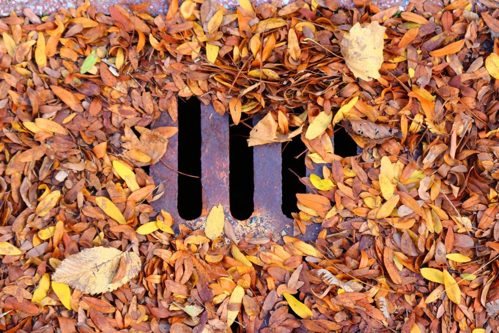Leaves in a Drain | West Sussex Drains