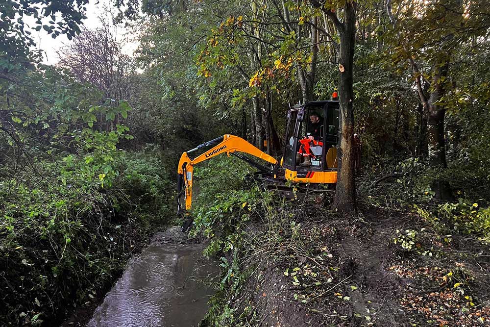 Clearing woodland during a blocked drain callout