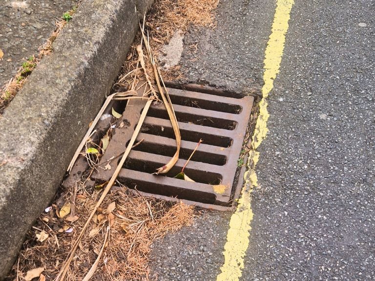 Road drain covered with debris
