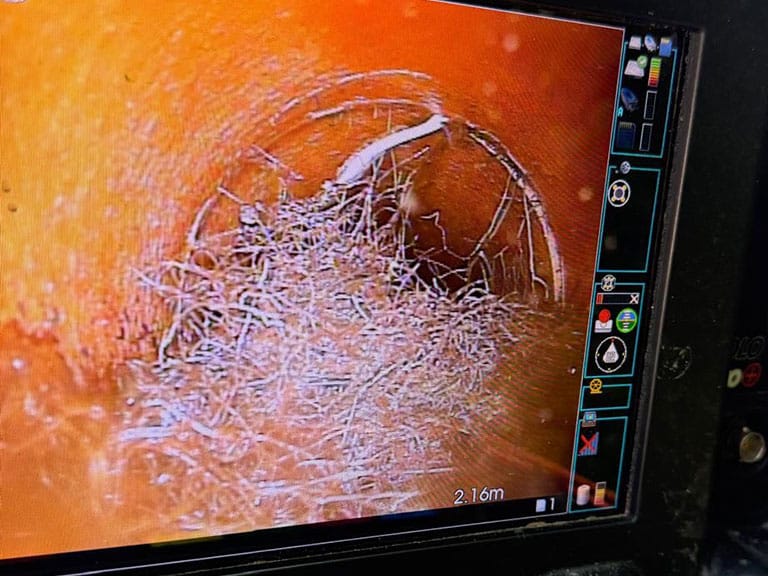 CCTV survey of a drain blocked by tree roots